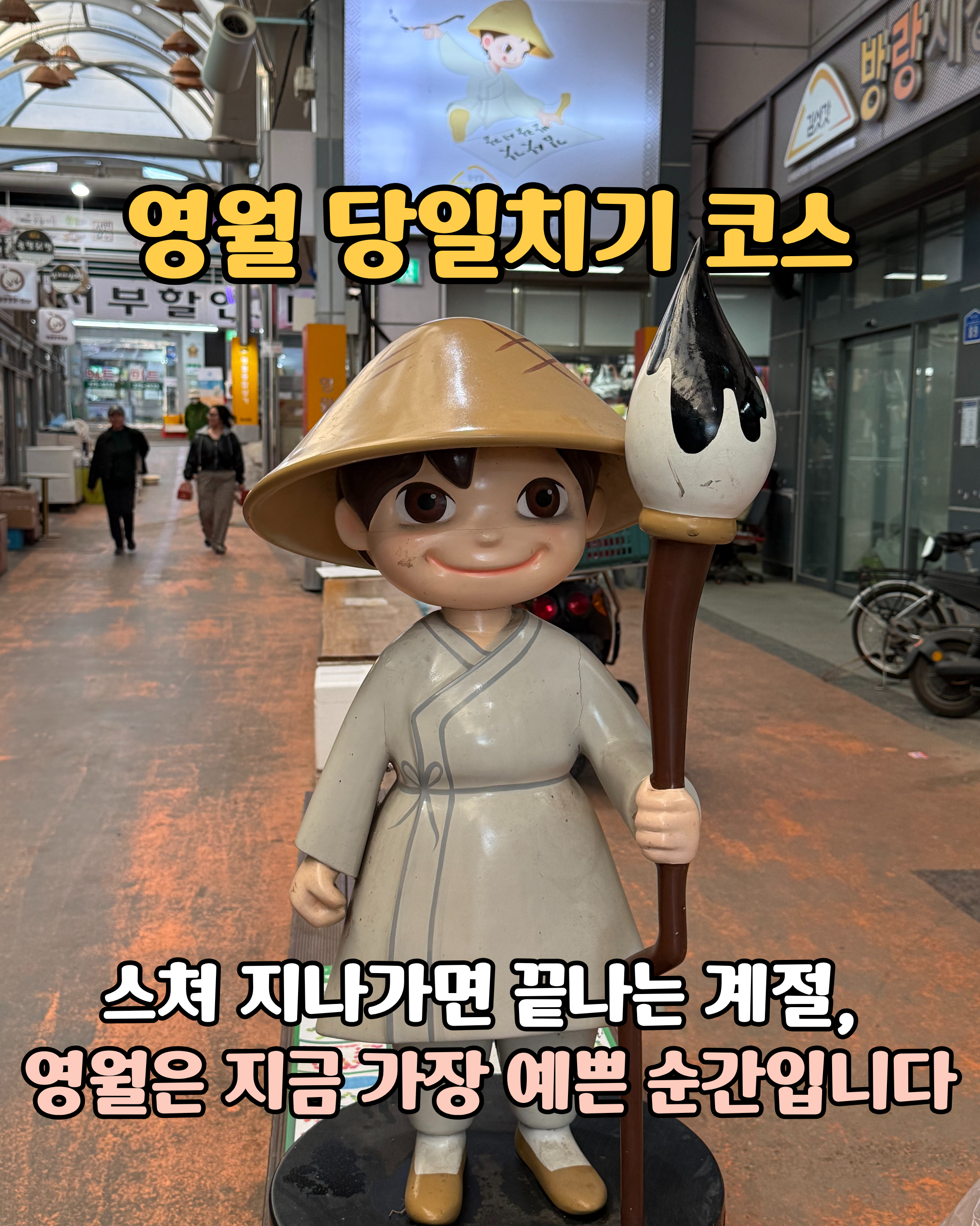 영월 당일치기 코스