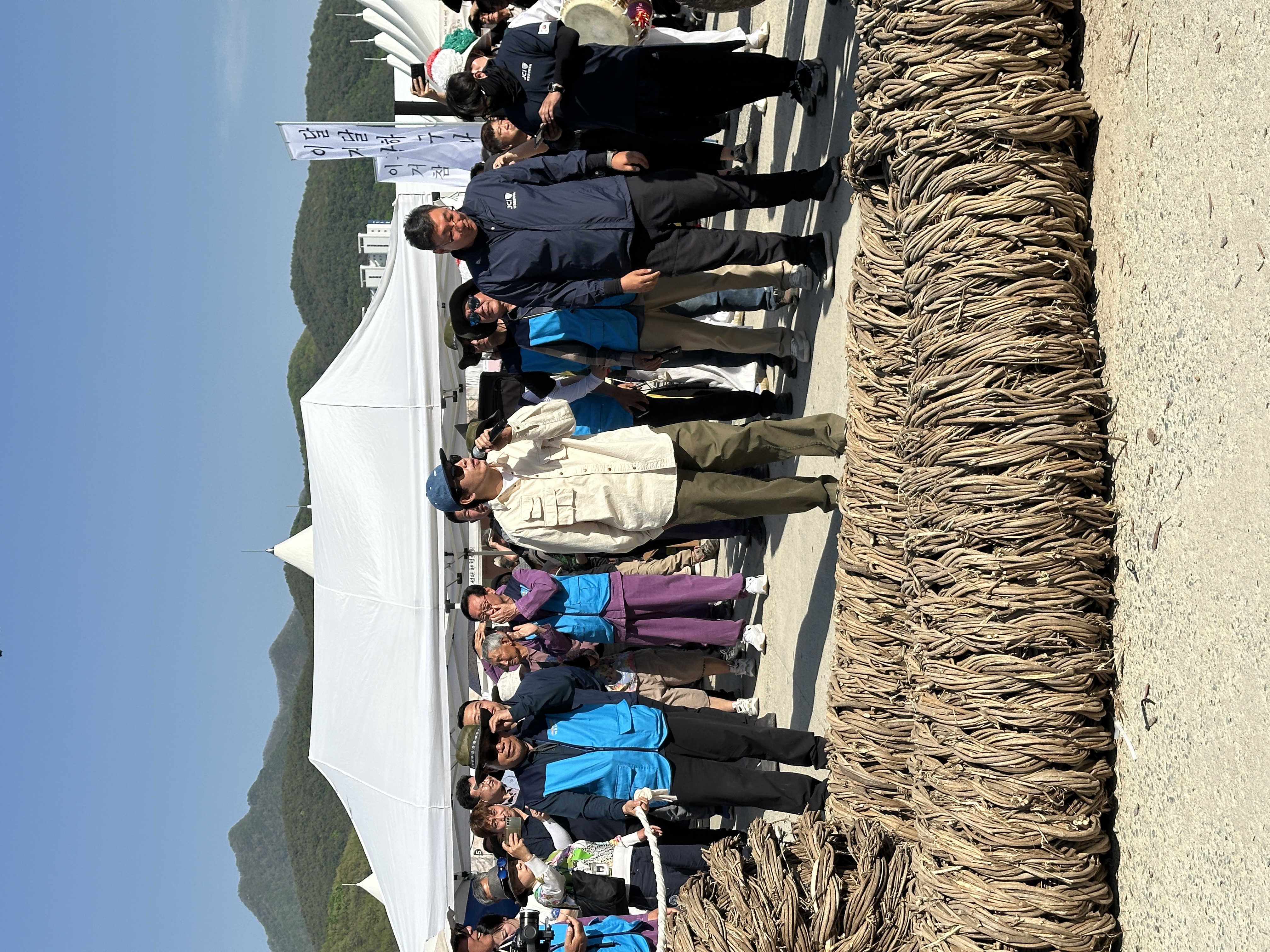 단종문화제 칡줄다리기