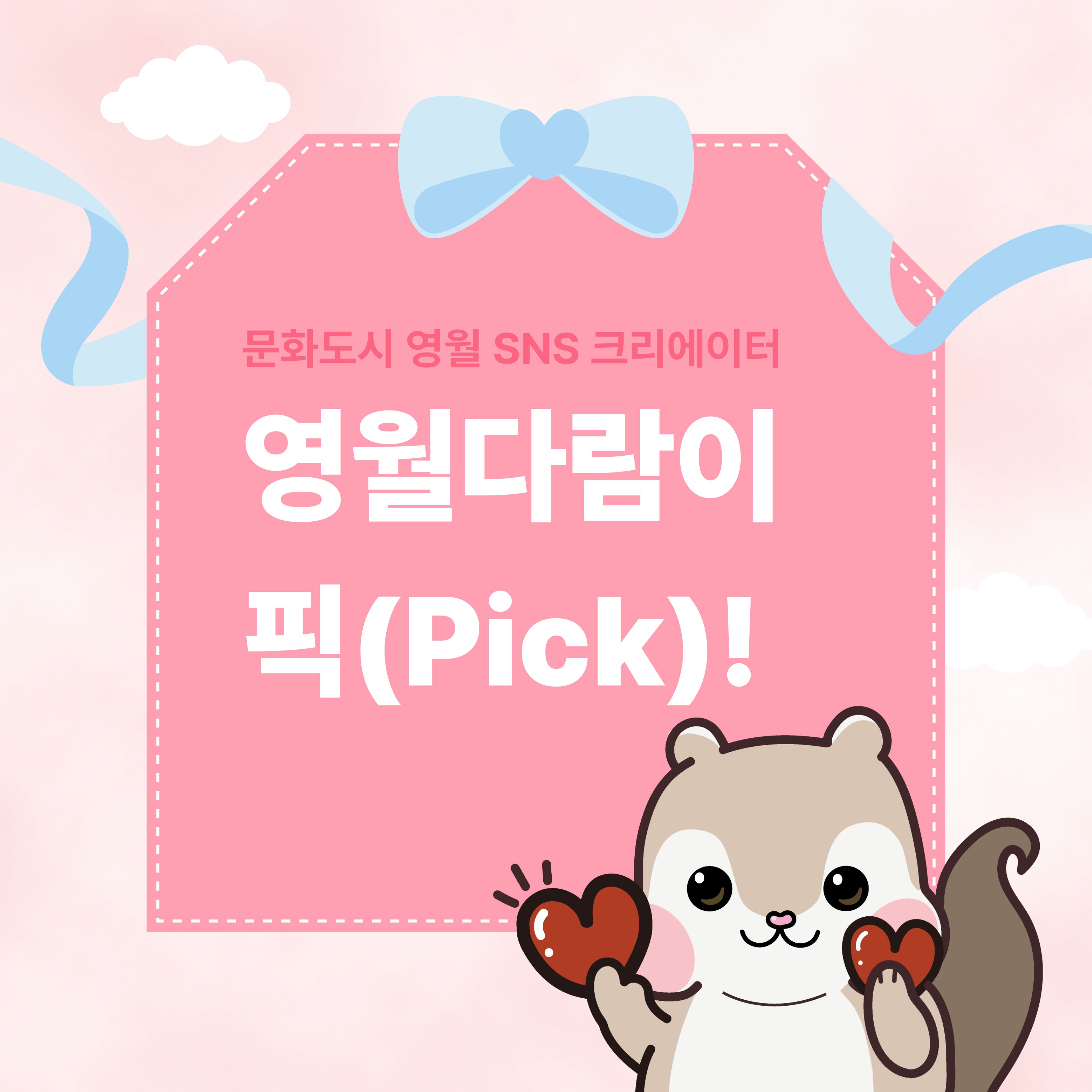 영월 픽(Pick) 게시판 소개